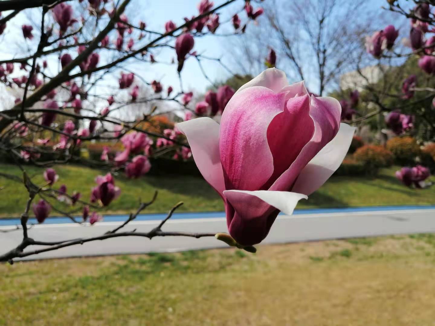 191613695532105893.jpeg 微信图片_20210219084430.jpg