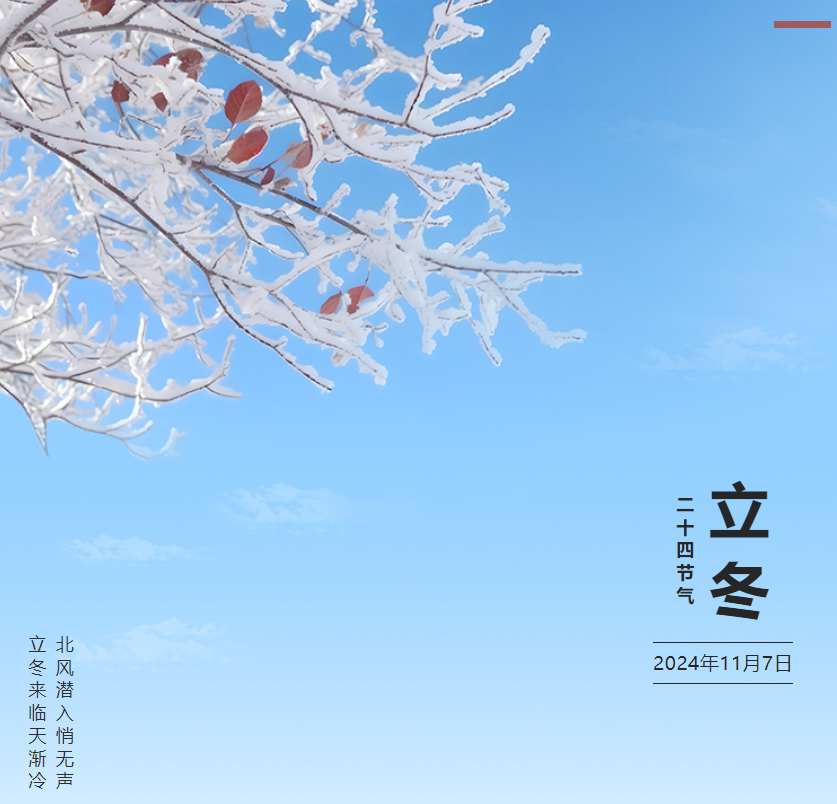 221732239621116331.png 1732239602928.png